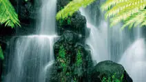 Urology-vishalsurgical.com